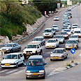משפחת הזוחלים בפקק... צילום: יריב כץ