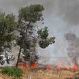 השריפה ליד תל יוסף צילום: יובל בכנר