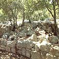 חורבת דנעילה. נחבאת בצל היערות כבר 600 שנה צילום: דפנה טלמון