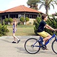 צילום: שאול גולן