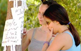 צילום: אילוסטרציה, שלום בר טל