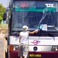 אגד. כל האברכים ימינה, כל הבתולות שמאלה צילום אורן אגמון