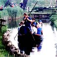 בעיקר לבטטת כורסה כמוני צילום: פליקס פריש