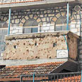צילום: ארץ וטבע