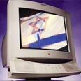 גולשים כחול-לבן 