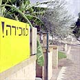 צילום: אלעד גרשגורן