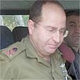 עושה  שרירים. יעלון צילום: יריב כץ