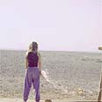 אין זכר לאורבניות במרחק, ואם הגעת, הגעת רק בשביל זה צילום: דפנה טלמון
