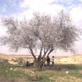 צילום: החברה להגנת הטבע, דפנה מרוז