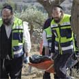 גופת הנרצח צילום: איי פי