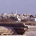 בין חומותיה של קיסריה נמצא כפר שאנשיו הם תושבי ביצות לשעבר צילום:דפנה מרוז,החברה להגנת הטבע