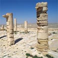 עבדת. מתחילים את המסלול ועוקבים אחרי השיירות הנבטיות למדבר צילום: דפנה מרוז, החברה להגנת הטבע
