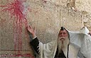 צילום איי אף פי