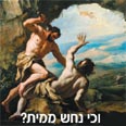  עטיפת הספר