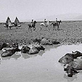 ביצות בעמק החולה, 1946