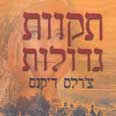 עטיפת הספר