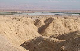 צילום: דפנה טלמון