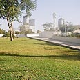 דשא - ירוק, אך לא ידידותי לסביבה צילום: יעל גרטי