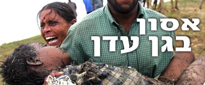 צילום: איי פי