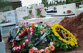 צילום: רענן בן צור