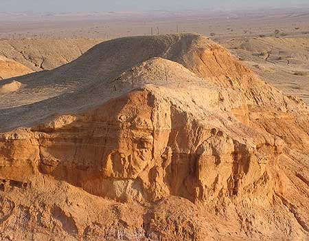 צילום: דפנה טלמון