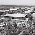  קיבוץ אילון, 1946