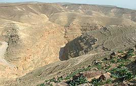 צילום: גילי סופר