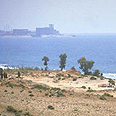 חופי צידון, 1983