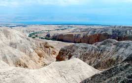 צילום: מיכל כרמון