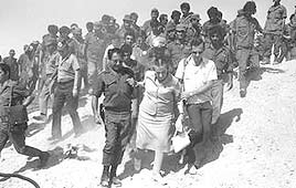צילום: יצחק שגב, לע"מ