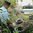 ממחזרים צמיגים משומשים (אכיון) צילום: אבי כהן