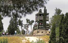 צילום: רונית סבירסקי