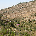 נחל יתלה. בינתיים על אופניים צילום: גילי סופר