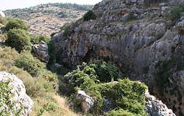 צילום: גילי סופר
