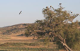 צילום: גילי סופר
