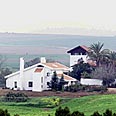 חוות השקמים. ארכיון צילום: דני סלומון