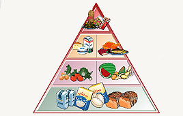 איור: אינפוגרפיק, ידיעות אחרונות איור: אינפוגרפיק, ידיעות אחרונות