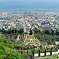חיפה. לא כל-כך ירוק כמו שזה נראה צילום: דוד הכהן