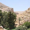 נחל פרת. אולי היפה בנחלי מדבר יהודה צילום: גילי סופר