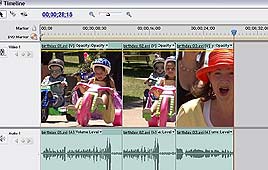 צילום: נט מגזין