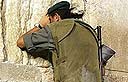 צילום: איי פי