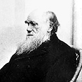 צילום: איי פי