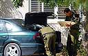 צילום: ירון ברנר