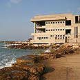 ה"קזינו". פיל לבן צילום: גילי סופר