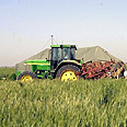קיבוץ נירים פלחה שדה חקלאות רצועת ביטחון עוטף עזה (צילום: מאיר אזולאי)
