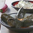 עלי גפן. מצד הסבתא הטורקיה 