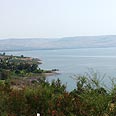 הנכרת. "נזקים שהשתרשו" צילום: מיכל כרמון