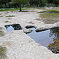 גת היין העתיקה צילום: שגיא קופר