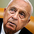 שרון. פעולה במלוא היקפה צילום: איי פי