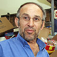 ששון שרה. מעכשיו - אשכנזים נגד מזרחים צילום: צפריר אביוב